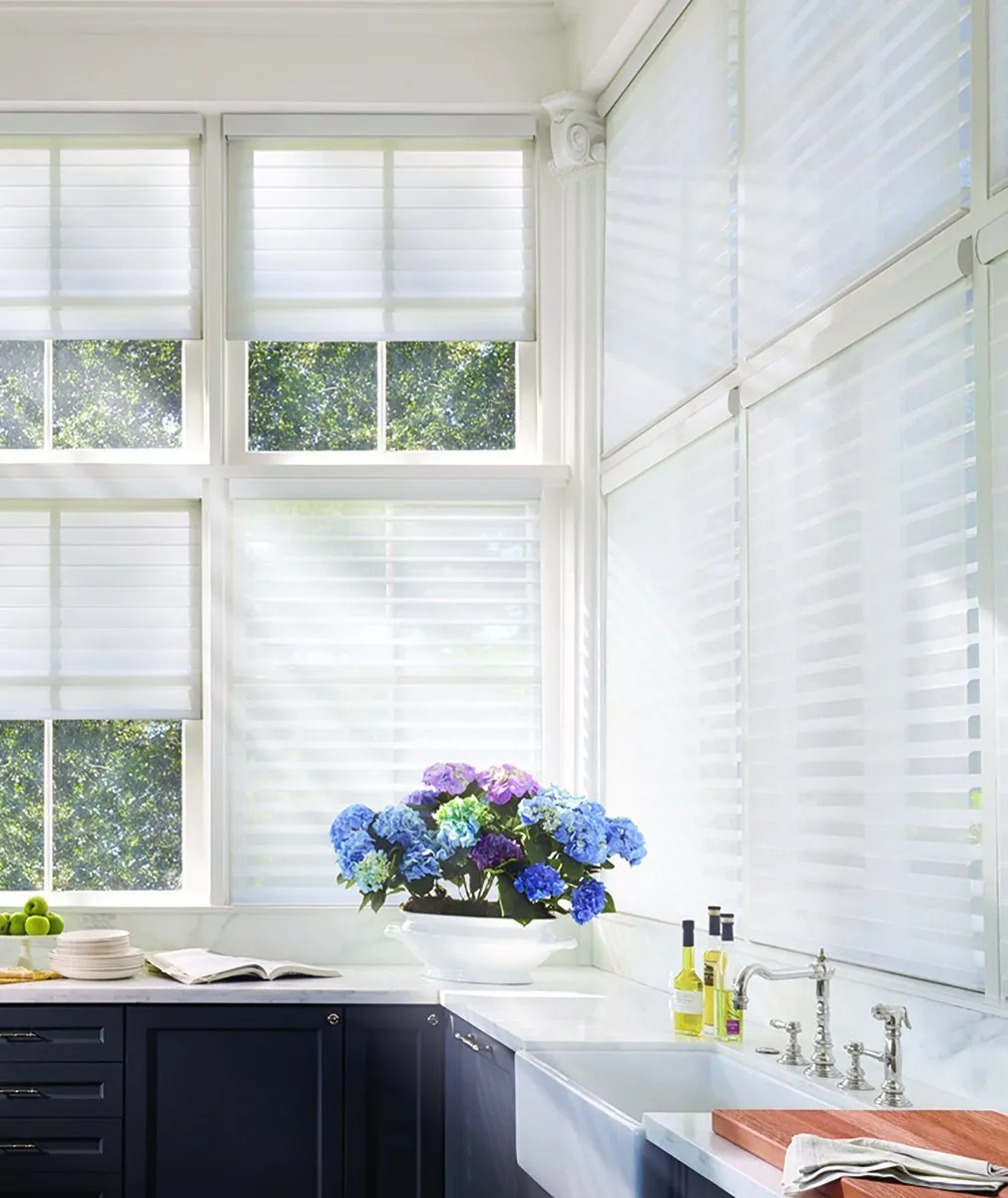 Hunter Douglas Silhouette