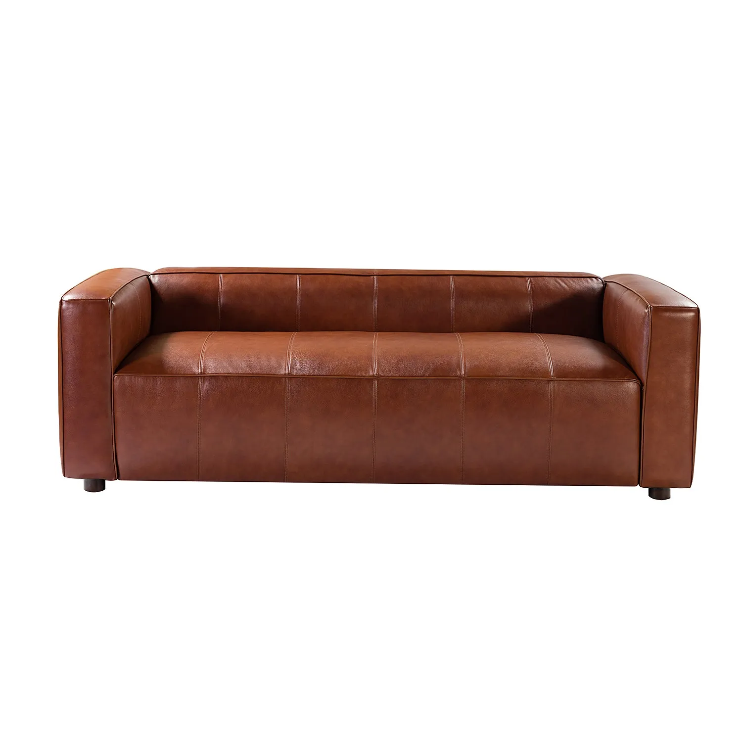 Lehigh Leather Sofa